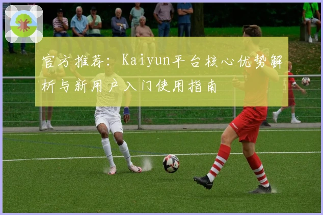 官方推荐：Kaiyun平台核心优势解析与新用户入门使用指南